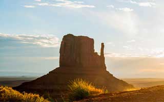 pizza: Its Future and The Revolution Brewing