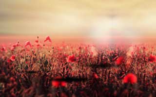 MicroStrategy: The Bitcoin Bet – Stock Price, Earnings, & What They're NOT Telling You